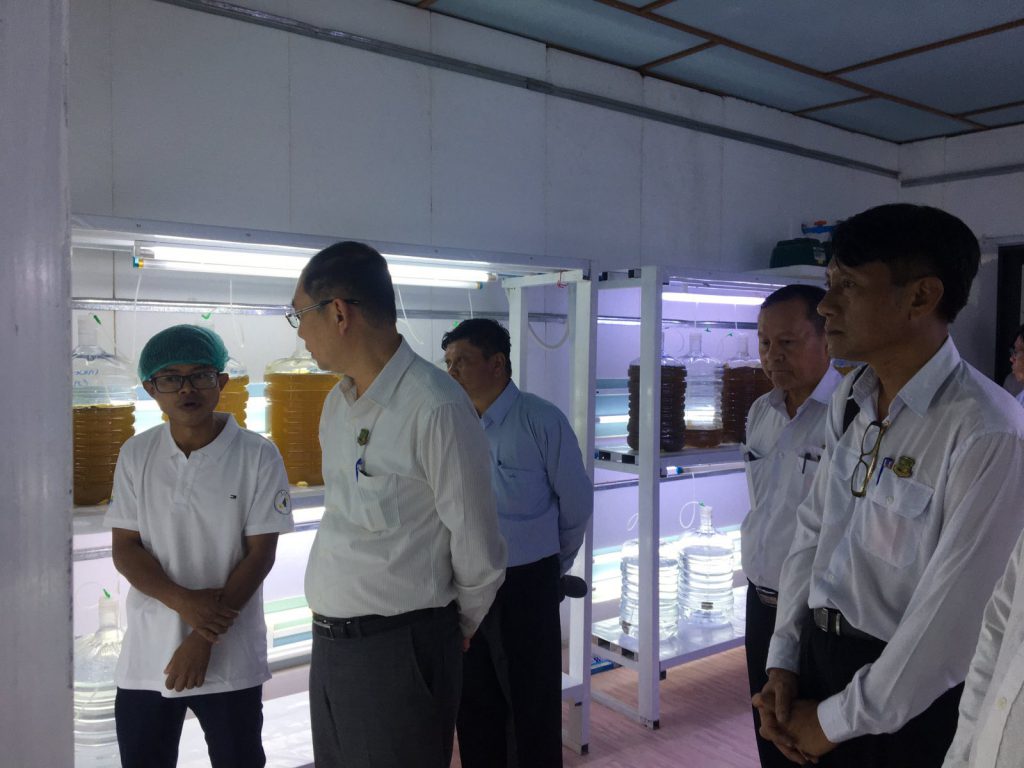 ပြည်ထောင်စုဝန်ကြီး ဦးခင်မောင်ရီ တနင်္သာရီတိုင်း ဒေသကြီးအတွင်းရှိ သစ်တောလုပ်ငန်းများနှင့် ပုလဲမွေးမြူထုတ်လုပ်ရေးလုပ်ငန်းအား သွားရောက်ကြည့်ရှုစစ်ဆေး